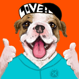   666狗狗