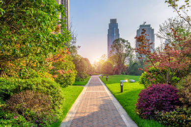 高档小区环境景观绿化养护