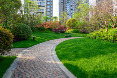 小区住宅里弯曲的步行道,砖路边绿色草坪,园林景观设计