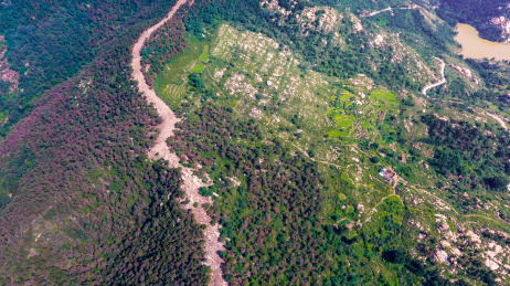 山脊上的森林防火隔离带