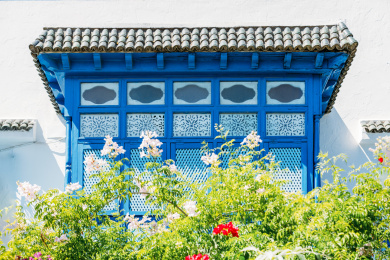 突尼斯蓝白小镇