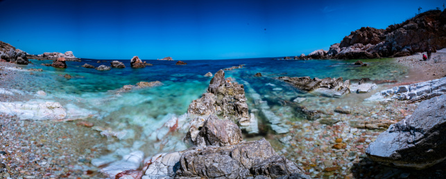 大海上面有海鸥