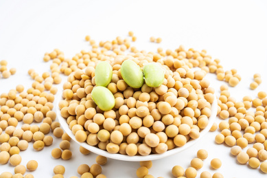 新鲜大豆和晒干的大豆/白背景上的毛豆和黄豆