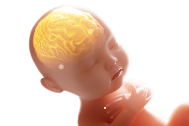 胎儿在各种数据的监护下安然成长发育，婴幼儿大脑发育的黄金阶段，需要科学补充营养所需。