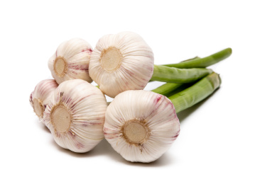 白背景上的一捆蒜头