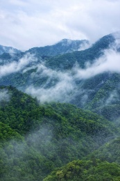 山间云雾风光