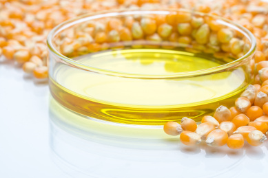 研究玉米能源，生物燃料和转基因生物实验室，在培养皿黄色液体