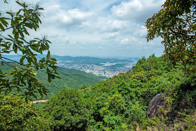 羊台山森林公园半山腰风景