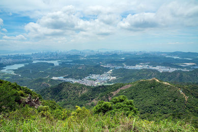 羊台山森林公园半山腰风景
