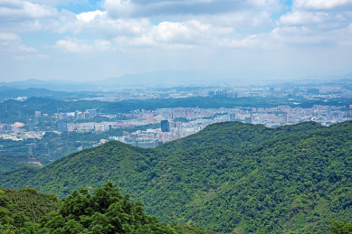 深圳羊台山森林公园山顶远眺深圳市城市风光