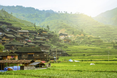 阳光明媚的田野