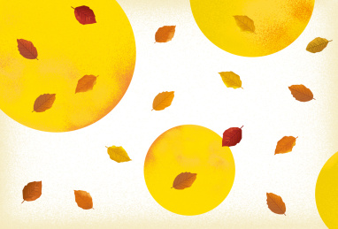 Autumn falling leaves on nature background