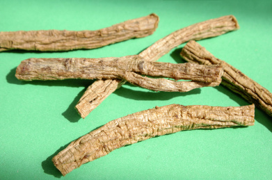 党参 党参 上党人参