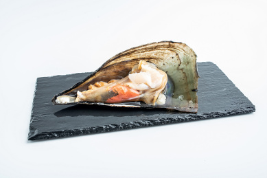 白背景上的新鲜剖壳长带子