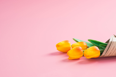 康乃馨背景素材