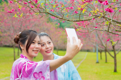 快乐漂亮女友游客使用移动智能手机拍照自拍，旅游在日本的樱花园穿和服。
