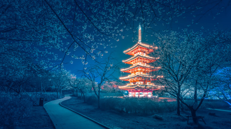 武汉樱园五重塔夜景