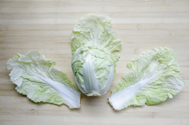 大白菜 大白菜 结球白菜