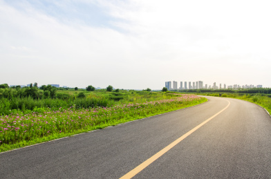 公路和路边的野花