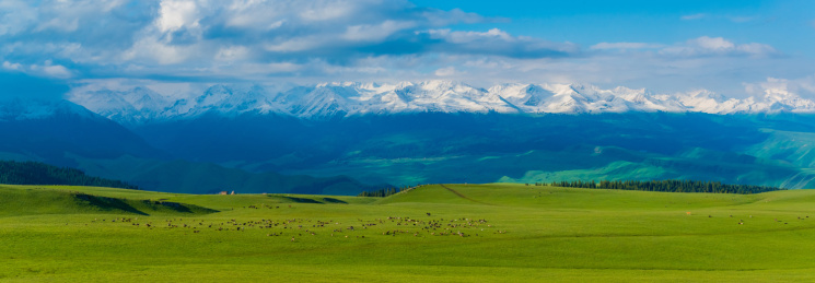 喀拉峻草原自然风光