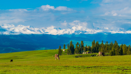 喀拉峻草原自然风光