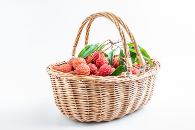 一篮筐新鲜桂味荔枝