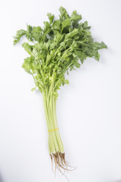 香芹