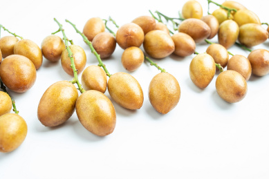 新鲜采摘的黄皮果在白背景上