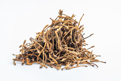 common orange daylily  tawny daylily dry for soup.