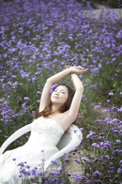 在薰衣草的美丽新娘