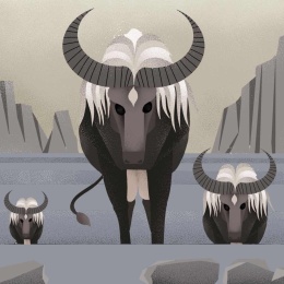 山海经敏牛 牛像哺乳动物