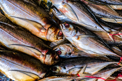 海产市场的咸鱼