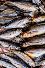 海产市场的咸鱼