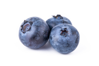 三个蓝莓 乌饭果 蓝草莓