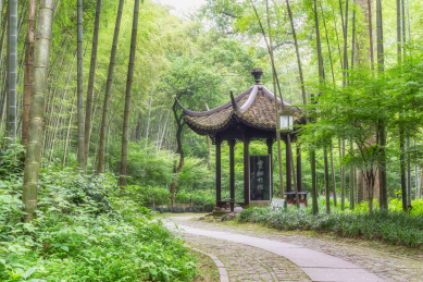 浙江杭州云溪竹径夏季风光