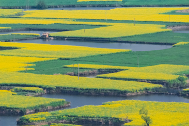 安徽省芜湖市响水涧油菜花田园乡村自然景观  