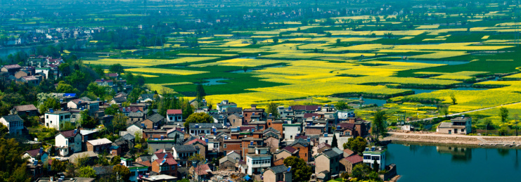 安徽省芜湖市响水涧油菜花田园乡村自然景观 