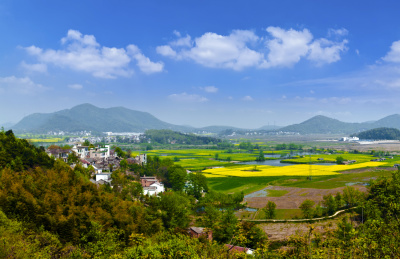 安徽省芜湖市响水涧油菜花田园乡村自然景观 