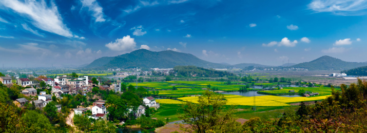 安徽省芜湖市响水涧油菜花田园乡村自然景观