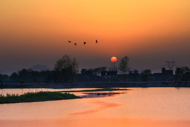 安徽省芜湖市响水涧油菜花田园乡村自然景观 