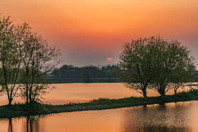 安徽省芜湖市响水涧油菜花田园乡村自然景观 