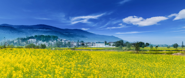 安徽省芜湖市响水涧油菜花田园乡村自然景观