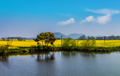 安徽省芜湖市响水涧油菜花田园乡村自然景观