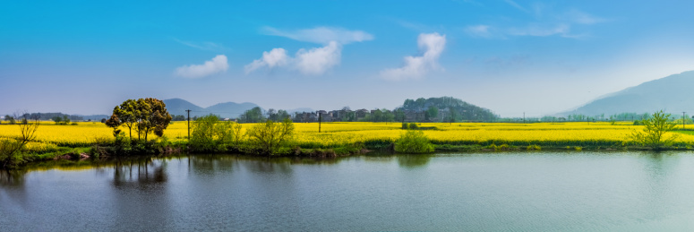 安徽省芜湖市响水涧油菜花田园乡村自然景观