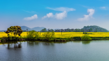 安徽省芜湖市响水涧油菜花田园乡村自然景观
