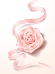 放慢粉色缎带与玫瑰花素材