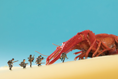 迷你小人 小龙虾 微拍小龙虾 缩微摄影小龙虾 crawfish 黄底 战斗 迷你小人和小龙虾 Crawfish Crayfish Boil Creole boil crayfish blue wooden Fresh sea food background 蓝色 黄色 缩微小人 拉锯 砍 沙滩  龙虾 模型 海鲜 鱼鲜 虾子 野生 甲壳动物