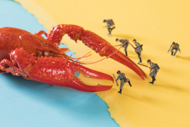 迷你小人 小龙虾 crawfish