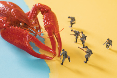 迷你小人 小龙虾 微拍小龙虾 缩微摄影小龙虾 crawfish 黄底 战斗 迷你小人和小龙虾 Crawfish Crayfish Boil Creole boil crayfish blue wooden Fresh sea food background 蓝色 黄色 缩微小人 拉锯 砍 沙滩  龙虾 模型 海鲜 鱼鲜 虾子 野生 甲壳动物