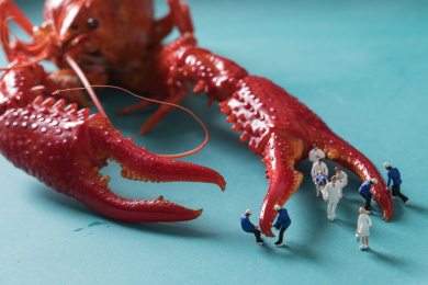 迷你小人 小龙虾 crawfish